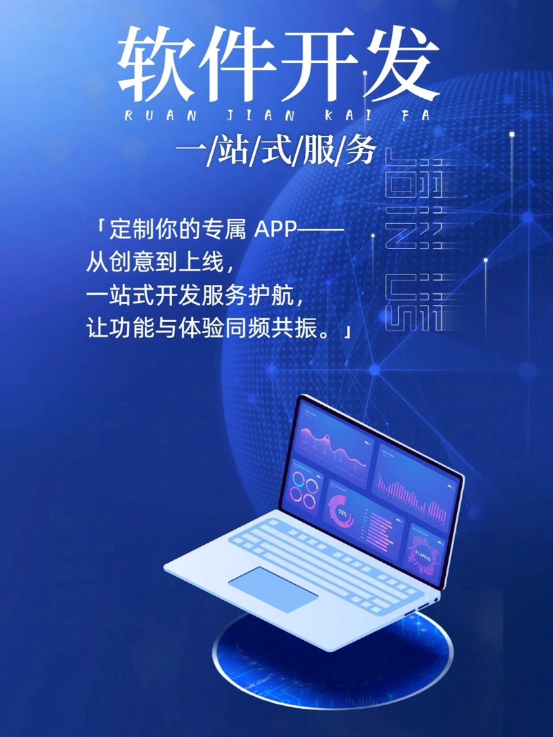 北京网络科技公司的崛起：本土创新与国际视野的碰撞